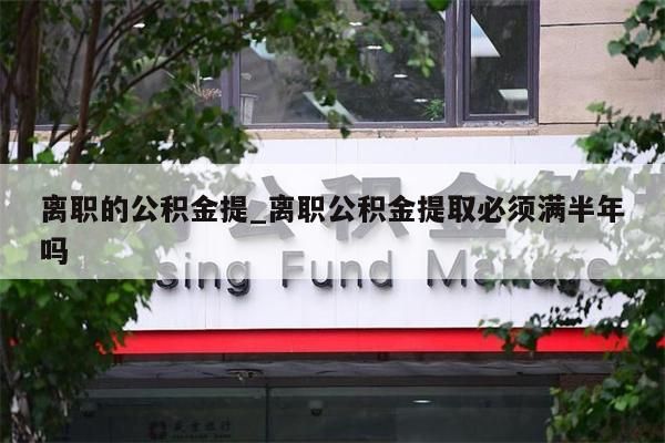 離職的公積金提_離職公積金提取必須滿半年嗎