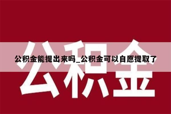 公積金能提出來嗎_公積金可以自愿提取了