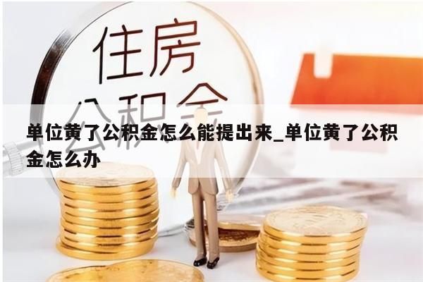 單位黃了公積金怎么能提出來_單位黃了公積金怎么辦